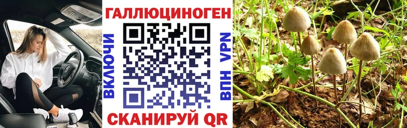 купить Кировск Галлюциногенные грибы прущие грибы