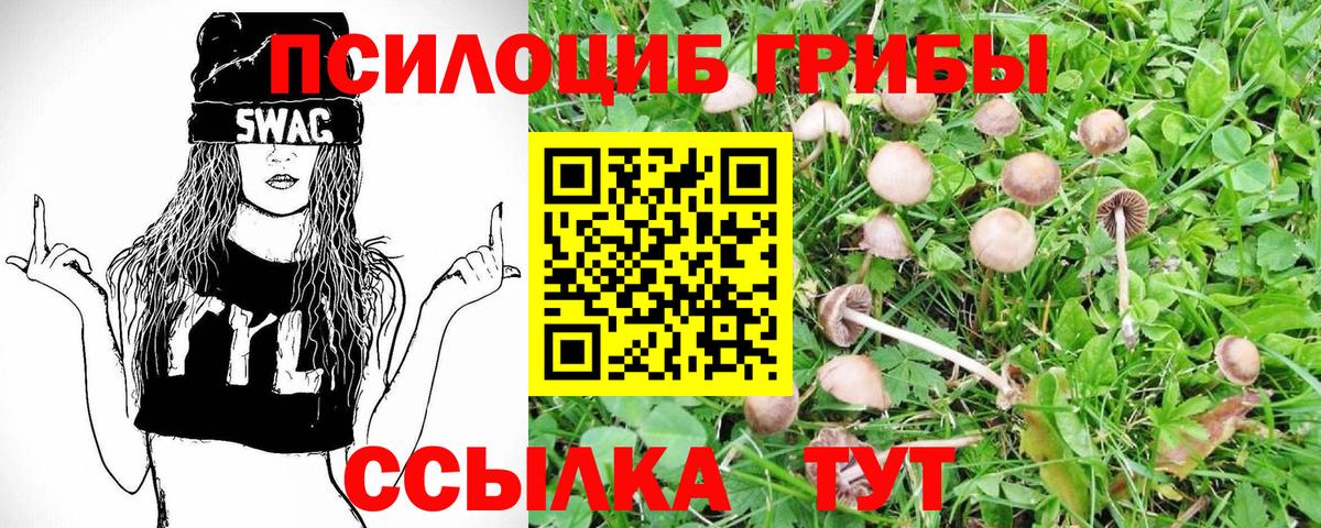 Кировск  Галлюциногенные грибы Magic Shrooms  Вход с VPN 